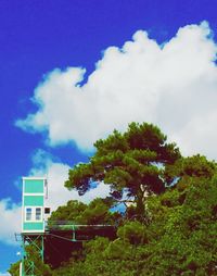 Low angle view of trees against blue sky