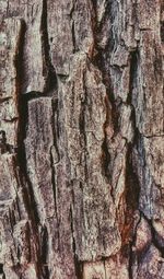 Full frame shot of tiled floor