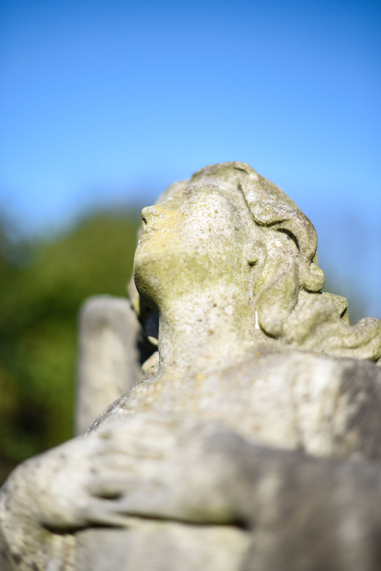 Brockley & Ladywell Cemetery