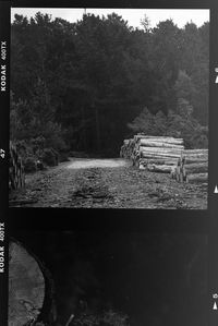 View of wooden bridge in forest