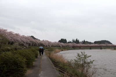 Rear view of people walking on shore against sky