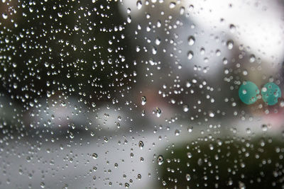 Close-up of water drops on glass