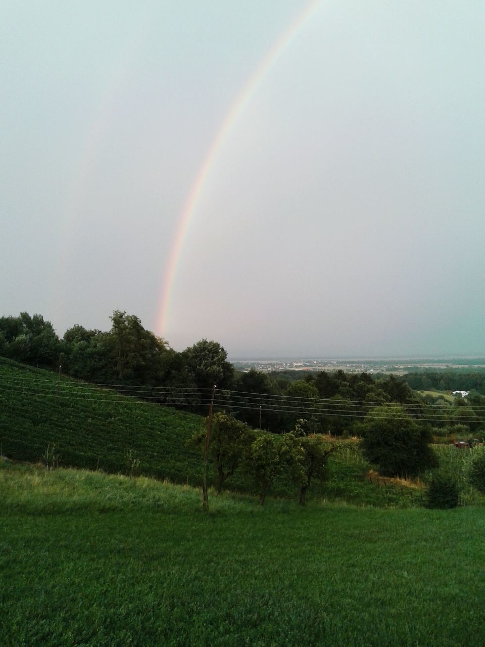 tranquil scene, rainbow, scenics, beauty in nature, landscape, tranquility, green color, tree, nature, field, grass, sky, idyllic, multi colored, growth, green, outdoors, no people, non-urban scene, day