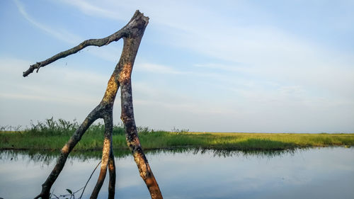 Scenic view of lake against sky