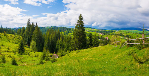 Picturesque spring carpathians landscape panorama with an old hut in the forest 