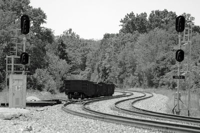 Railroad tracks amidst trees