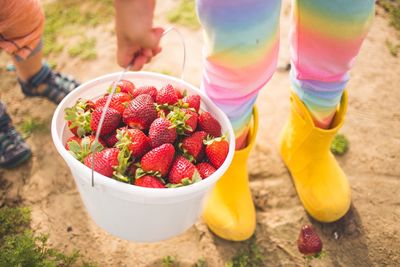 Low section of person holding fruits