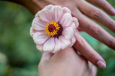 Close-up of hand holding flower