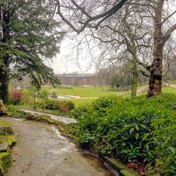 Scenic view of green landscape against sky