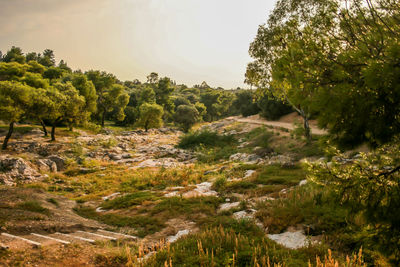 Scenic view of landscape against sky