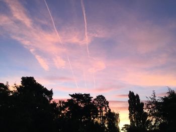 Silhouette of trees at sunset
