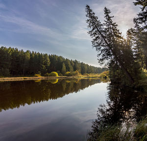 Scenic view of lake in forest against sky