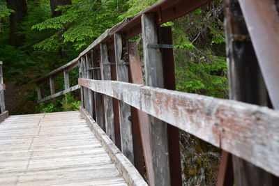 Footbridge amidst trees