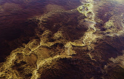 High angle view of rocks by sea