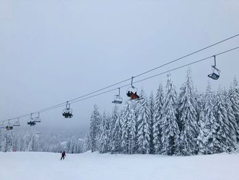 Ski lift surrounded by forest of evergreen trees covered in snow