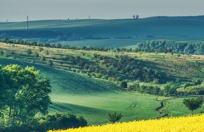 Scenic view of agricultural field against sky