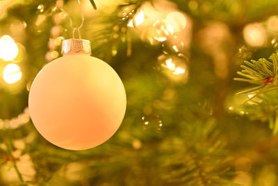 Close-up of illuminated christmas tree