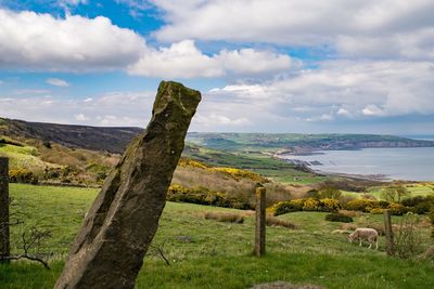 Scenic view of field against sky