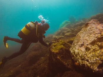 Unrecognizable diver studying depth of ocean and vegetation at bottom