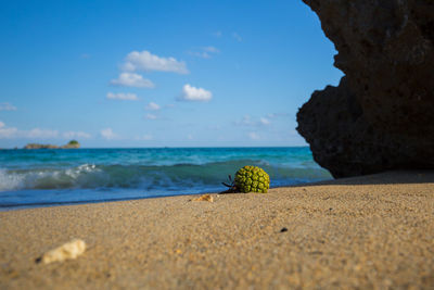 Surface level of beach against sky