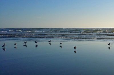 Scenic view of sea against blue sky