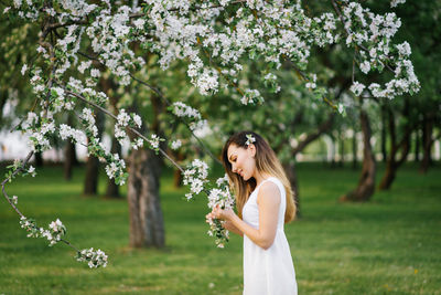 Portrait of a young beautiful woman in the spring flowers of an apple tree