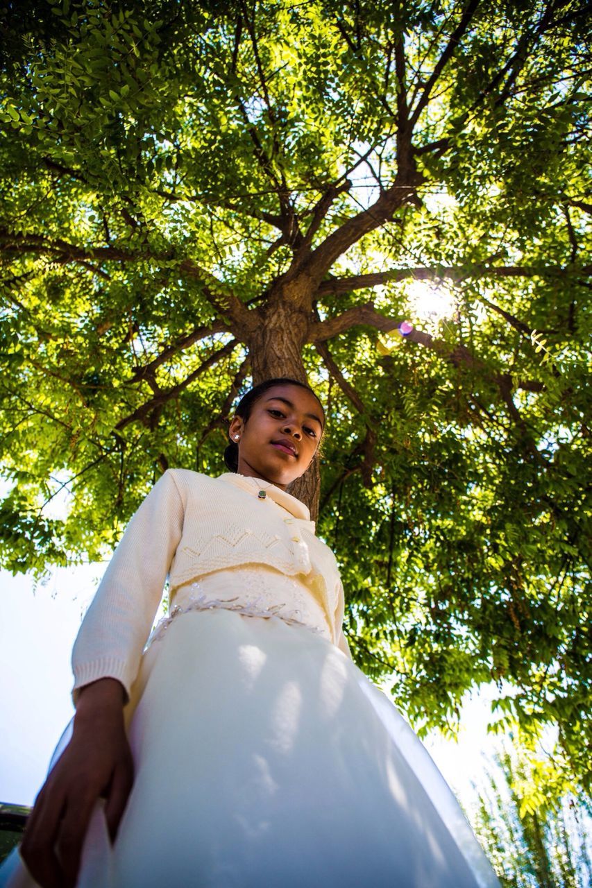 tree, low angle view, lifestyles, person, young adult, leisure activity, casual clothing, branch, growth, looking at camera, portrait, forest, green color, leaf, front view, day, young men, waist up