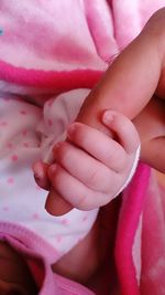 Low section of baby holding pink flower