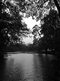 Scenic view of lake in forest against sky