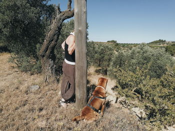 Rear view of man with dog hiding by tree trunk