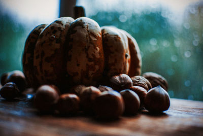Close-up of pumpkin and hazelnuts on table