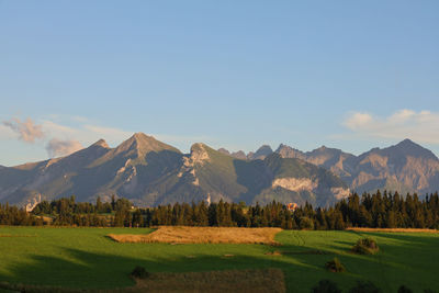 Scenic view of field and mountains against sky