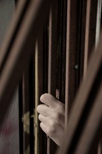 Cropped image of person holding metallic gate