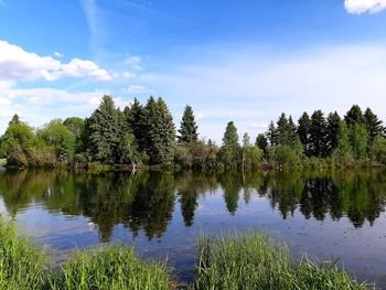 Reflection of trees in lake against sky