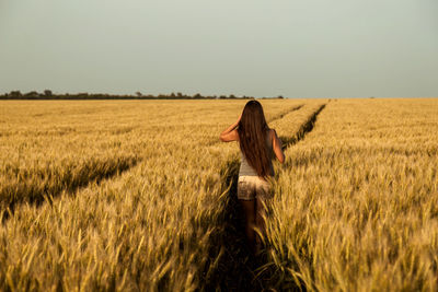 Girl with long hair in a golden wheat field