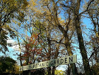 Low angle view of road sign