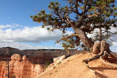 View of rock formations