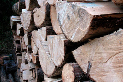 Stack of logs in forest