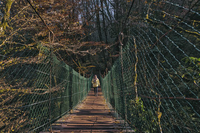 Rear view of people walking on footbridge in forest