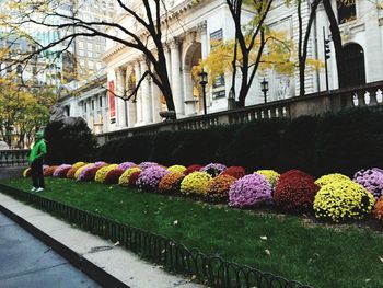 Multi colored flowers against built structure