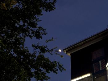 Low angle view of tree and building against sky at night
