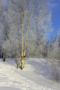 snow