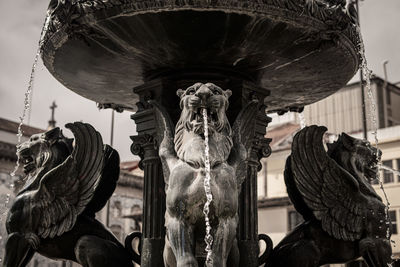 Close-up of statue