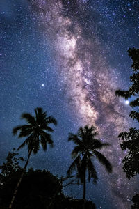 Low angle view of silhouette trees against sky at night