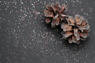 High angle view of dry leaves on table