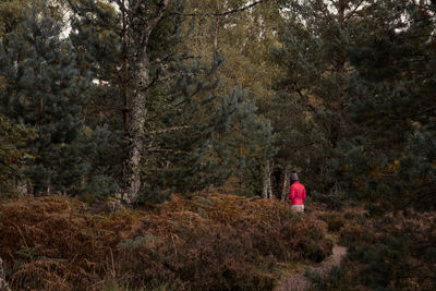 Rear view of person walking in forest