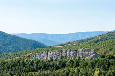 Scenic view of pine trees and mountains against sky