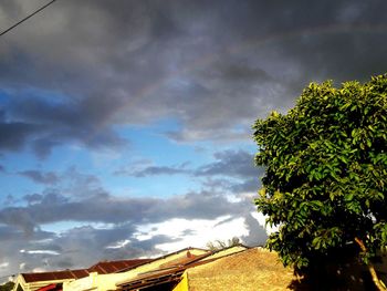 Houses and trees against sky