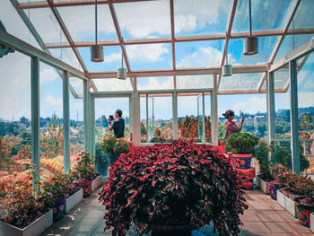 People photographing while standing in greenhouse