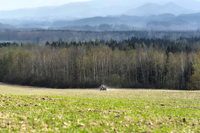 Scenic view of field against trees